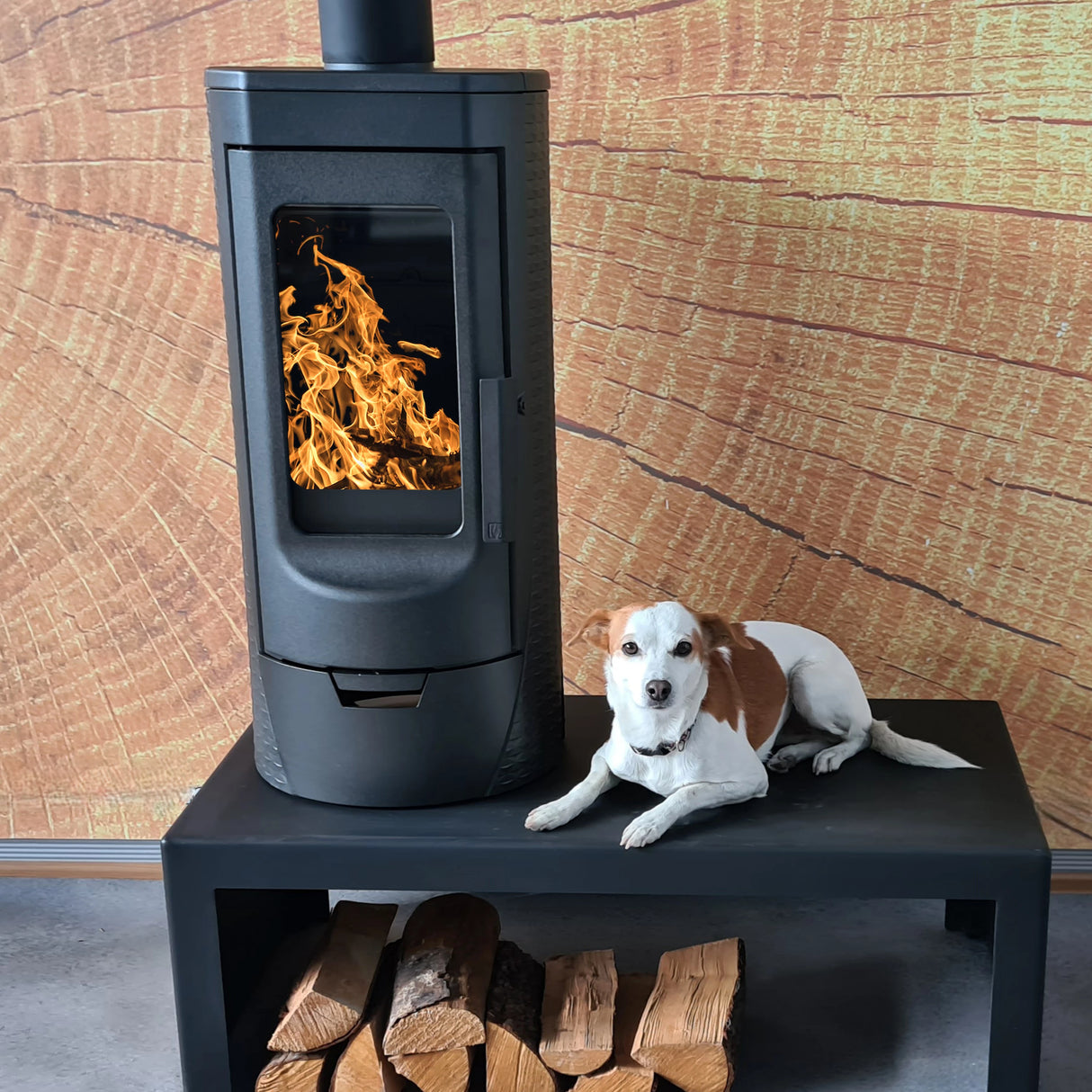 Chimenea de diseño Plamen Tara de hierro fundido, independiente del aire ambiente