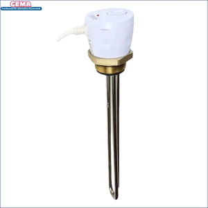 Immersionswasserheizer mit Thermostat und Incoloy 825 Heizstab für Brauchwasserspeicher