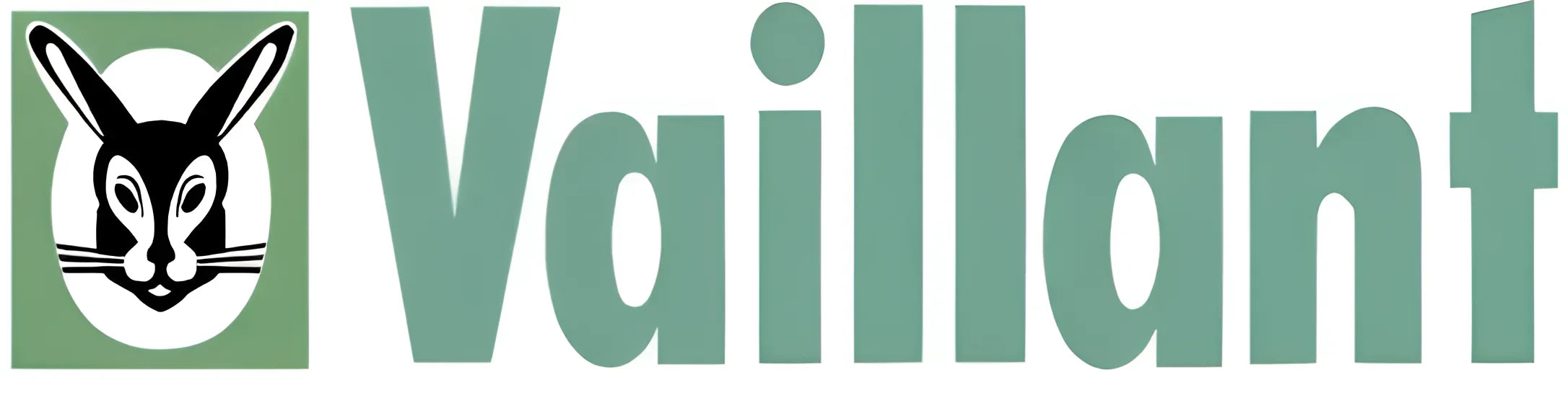 Bild des Vaillant Logos auf einem Boiler mit vaillant ersatzteile und boiler-zubehör
